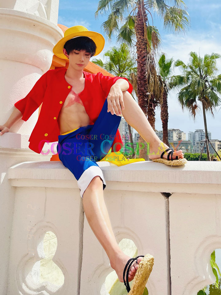 2201 ONE PIECE Monkey D Luffy Cosplay costume